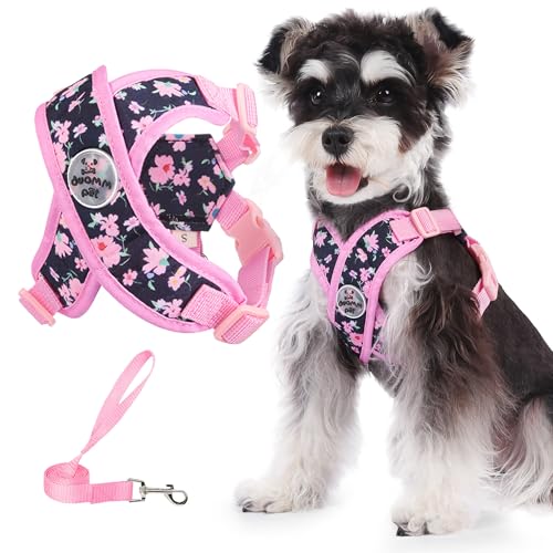 Dog Harness with Leash Set Adjustable Soft Padded Step-in Dog Vest No Choke No Pull Reflective for Small Pets with Poop Bags and Dispenser, Solid and No-chew, Floral Pink XS - color: Floral Pink, size: XS (Neck 16-19.1'' Chest 18.8-21.5'')
