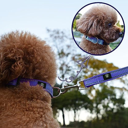 Dog Collar and Leash Set,Reflective Dog Collars with Quick Release Buckle,Adjustable Nylon Pet Collar for Small Medium Large Dogs(Large,Purple) - color: Purple, size: Large