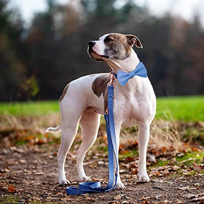 Soft Leather Bowtie Dog Collar - Adjustable Cute Bow Tie Collar [Easy to Clean] with Stylish Rose Gold Heavy Duty Metal Buckle for Small Medium Large Dogs Blue XS - color: Blue, size: XS(8"-12")