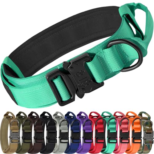 Joytale Tactical Dog Collar with Handle and Metal Buckle, Heavy Duty Padded Military Collar with 2 Patches for Training, Adjustable for Medium Dogs, Teal, M - color: Turquoise, size: M