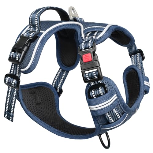Dog Harness Small Sized, No Pull Pet Harness with Neck Lockable Snap,No Choke Front Clip Dog Reflective Vest,Adjustable Metal Rings 3 Buckles,Easy Control Handle for Small Dogs Royal Blue S - color: Lock Royal Blue, size: Small (Pack of 1)