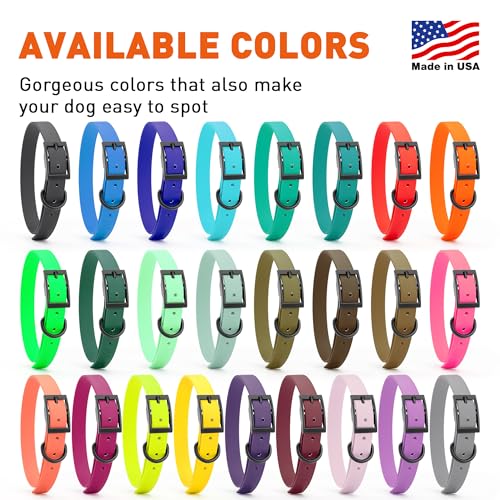 Dogline Biothane Waterproof Dog Collar Strong Coated Nylon Webbing with Black Hardware Odor- Proof for Easy Care Easy to Clean High Performance Fits Small Medium or Large Dogs, Amethyst Purple