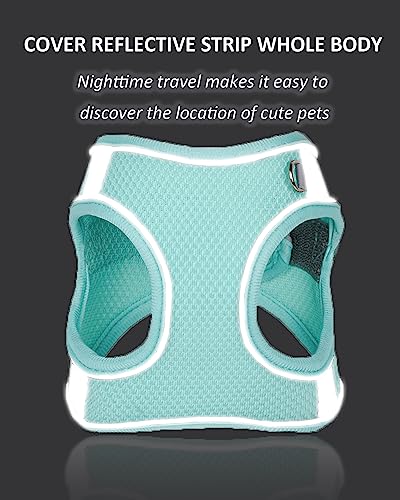 SOLMOONY Dog Harness for Small Medium Large Dogs No Pull, Puppy and Leash Set, Dogs, Step in Harness, mesh Harness. (Black, L) - color: Black, size: L
