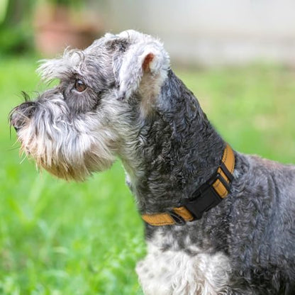 Joytale Reflective Dog Collar, Soft Neoprene Padded, Metal D-Ring, Nylon Pet Collar Adjustable for Small Dogs, Khaki, S - color: Khaki, size: Small (Pack of 1)