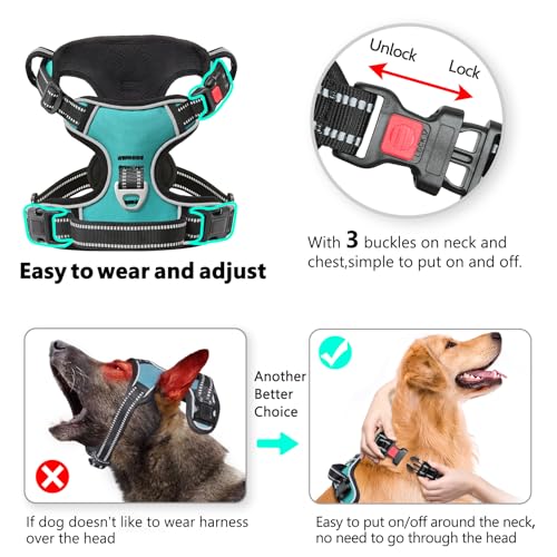 No Pull Dog Harness, Release at Neck Reflective 3 Snap Buckles Adjustable No Choke Pet Vest with Front & Back 2 Leash Clips, Soft Padded Control Training Handle for Small Medium Large Dogs - color: Lock-Turquoise, size: Medium (Pack of 1)