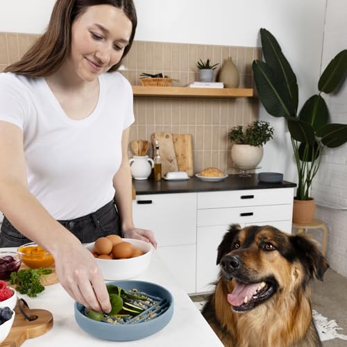 Should We Go? Slow Feeder for Dogs & Puppies, The Slowdown Bowl Silicone Slow Eating, Modern Lick Mat Design, Reduces Gulping, Fits 2 Cups, 7.5” Across x 1.5” Tall, Mealtime Challenge, Medium-Ocean - color: Ocean - Rainbow Design, size: Medium (7.5” Acros
