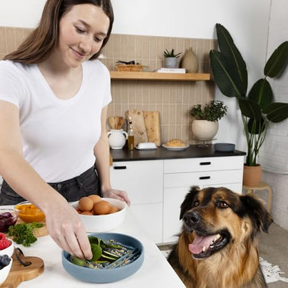 Should We Go? Slow Feeder for Dogs & Puppies, The Slowdown Bowl Silicone Slow Eating, Modern Lick Mat Design, Reduces Gulping, Fits 2 Cups, 7.5” Across x 1.5” Tall, Mealtime Challenge, Medium-Ocean - color: Ocean - Rainbow Design, size: Medium (7.5” Acros