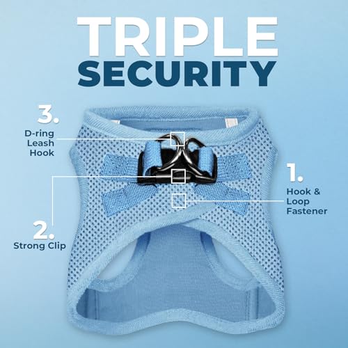 Best Pet Supplies Voyager Step-in Air All Weather Mesh Harness and Reflective Dog 5ft Leash Combo with Neoprene Handle, for Small, Medium and Large Breed Puppies - Set (Baby Blue), Small - color: Harness Leash Set (Baby Blue), size: S (Chest: 14.5 - 16")
