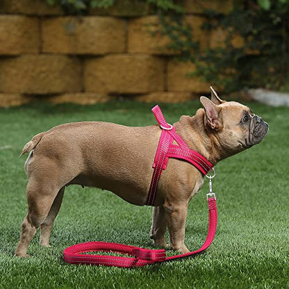 Plutus Pet No Pull Dog Harness with Breathable Mesh Padded, Adjustable Reflective Escape Proof Dog Harness, Quick Fit Dog Vest Harness for Small Medium Large Dogs(M, Pink) - color: Pink, size: M: chest 19.7"-25.2"