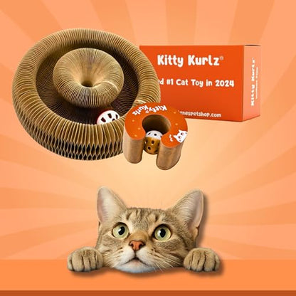 KITTY KURLZ & Karate Kitty Active Indoor Cat Play Bundle – Interactive Ball Track Scratcher + Cat Wrestling Glove with Protective Arm Sleeve