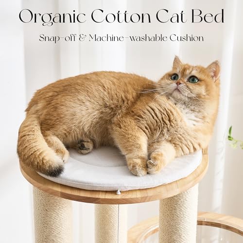 797Audio Modern Solid Wood Cat Tree Tower, 54" Tall Cat Tree with Scratching Posts, Capsule&Hammock, Luxury Natural Oak Wood Cat Tower, Aesthetic Multi-Level Cat Climbing Tree for Large Indoor Cats - color: 54 Inch-Scratch Ball