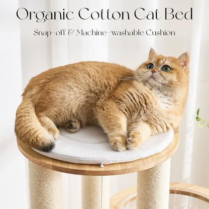 797Audio Modern Solid Wood Cat Tree Tower, 54" Tall Cat Tree with Scratching Posts, Capsule&Hammock, Luxury Natural Oak Wood Cat Tower, Aesthetic Multi-Level Cat Climbing Tree for Large Indoor Cats - color: 54 Inch-Scratch Ball