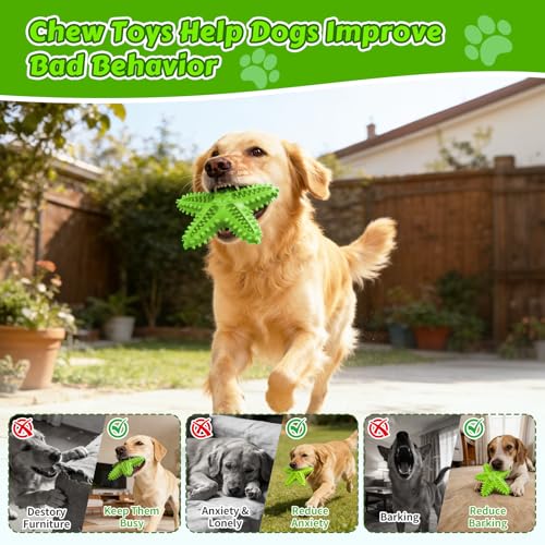 Dog Chew Toys Floating Squeaky Toy for Aggressive Chewers Toothbrush Teething Cleaning Toys Outdoor Swimming Interactive Tough Toys for Medium and Large Dogs - color: Starfish-green