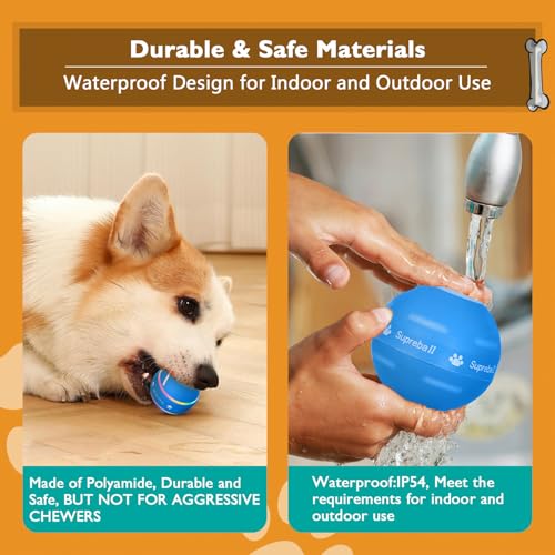 PetDroid Interactive Dog Toys Dog Ball,[Newly Upgraded] Durable Motion Activated Automatic Rolling Ball Toys for/Small/Medium/Large Dogs,USB Rechargeable (Blue) - color: Blue