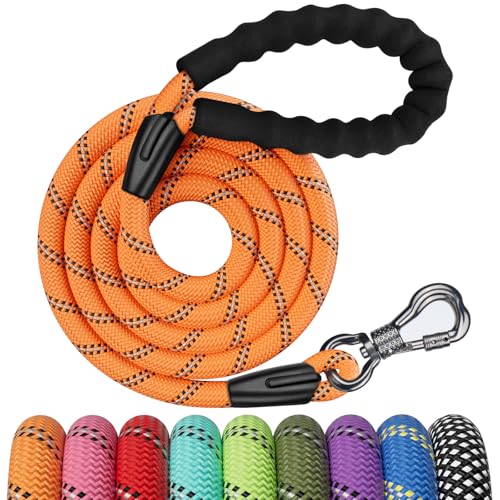 NTR 6FT Heavy Duty Dog Leash, Orange Rope with Swivel Lockable Hook and Comfortable Padded Handle, Cat & Dog Leash for Small to Large Dogs, Training, Playing, Camping or Backyard - color: Orange, size: 6ft*1/2"