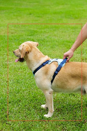 Blue Dog Harness Leash Collar Set, No Pull Reflective Dog Vest Harness with Control Handle, Adjustable Breathable Pet Harness for Large Dogs Walking Training - color: Blue, size: L
