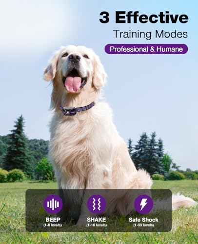 Bousnic Dog Shock Collar - 3300Ft Training Collar with Remote for 5-120lbs Small Medium Large Dogs Rechargeable Waterproof e Collar with Beep (1-8), Shake(1-16), Safe Shock(1-99) Modes (Lightpurple) - color: Purple