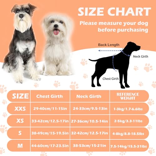 No Pull Dog Harness Adjustable Small Dog Harness and Leash Set, Lightweight and Soft Dog Harness No Choke Escape Proof Pet Harness Vest (Blue Rose, XX-Small) - color: Blue Rose, size: XX-Small