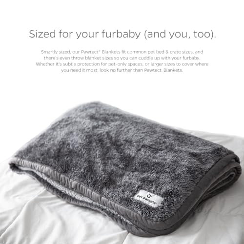 Pet Parents PAWTECT Blanket Waterproof Premium Dog, CAT, and Puppy Blanket, Slate, Small - color: Slate, size: 24"x32"