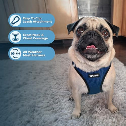 Best Pet Supplies Voyager Step-in Air All Weather Mesh Harness and Reflective Dog 5ft Leash Combo with Neoprene Handle, for Small, Medium and Large Breed Puppies - Set (Blue/Black Trim), Medium - color: Harness Leash Bundle (Blue/Black Trim), size: M (Che