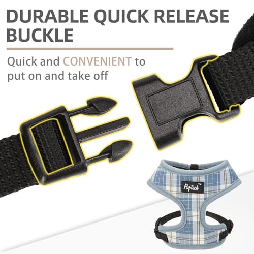 PUPTECK Soft Mesh Dog Harness and Leash Set Pet Puppy Cat Comfort Padded Vest No Pull Harnesses, Sky Blue, XS - color: Sky Blue, size: XS (NECK: 10", CHEST: 10"-14")