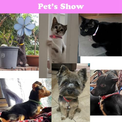 XS Dog Collar with Bell, 2-Pack Male Cat Collars Reflective Strip Nylon Puppy Collar with Bell Adjustable for XXS XSmall Small Boy Dogs Kitten X-Small, Black - color: Reflective Black