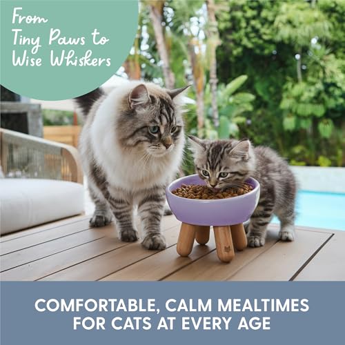 The Cat Ladies Tilted Ceramic Cat Bowl - Elevated Food Bowls Ceramic Pet Bowl - Raised Ceramics Bowls - Elevated & Tilted Design for Comfortable Eating - Dishwasher Safe - Wide Opening - color: Lilac