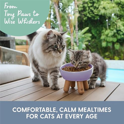 The Cat Ladies Tilted Ceramic Cat Bowl - Elevated Food Bowls Ceramic Pet Bowl - Raised Ceramics Bowls - Elevated & Tilted Design for Comfortable Eating - Dishwasher Safe - Wide Opening - color: Lilac