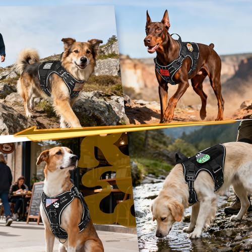 rabbitgoo Tactical Dog Harness Medium Sized, No Pull Upgraded Reflective Heavy Duty Molle Vest with Handle, Adjustable Military Service Dog Vest for Walking Hiking Training, Black, M - color: Black Reflective, size: Medium