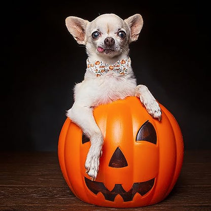 Pumpkin Dog Collar with Bow Tie - Fall Halloween Thansgiving Designer Dog Collars, Adjustable Cotton Metal Buckle Bowtie Collar for Small Medium Large Boy Girl Dogs XS - color: B-White Pumpkin, size: XS