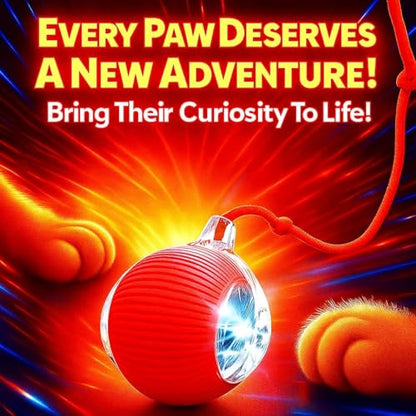 Interactive Electric Automatic Rolling Moving Rechargeable Self Play Stimulation Toy,Smart Pet Chase with Speedy Tail Rope for Bored Indoor Cats (Purple) - color: PURPLE