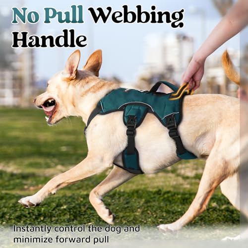 rabbitgoo Escape Proof Dog Harness Medium, Soft Padded Full Body Pet Harness, Reflective Adjustable No Pull Vest with Lift Handle and Leash Clip for Walking Hiking Training, Dark Green, M - color: Dark Green, size: Medium (Pack of 1)