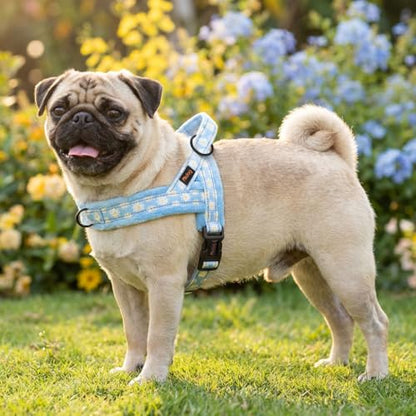 Didog No Pull Dog Harness with Soft Padded, Easy Walk Dog Harness with Quick Release Buckle, Adjustable & Reflective Pet Harness with Soft Padded for Small Medium Dogs (S:Chest 19-22", Blue) - color: Blue, size: S:Chest 19-22", Fit 15-25 lbs