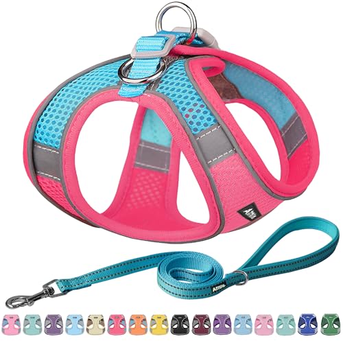 AIITLE Dog Harness, No-Pull Cat Harness with a Leash, Adjustable Reflective Dog Vest, Cat Harness Escape Proof, Outdoor Walking, Running,Training for Extra Small Dogs and House Cats Hot Pink XXXS - color: Hot Pink, size: XXXS(Chest: 8.5 - 10")