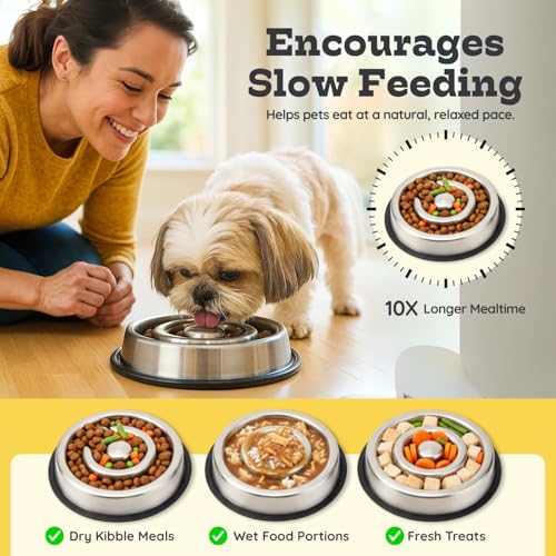 1.2 Cup (9.5 oz) Slow Feeder Dog Bowls, Shallow Spiral Style Stainless Steel Small Dog, Cat Dry, Wet Food Dishes Fast Eater Nonslip Heavy Feeding Puzzle Bowl, Slow Down Eating