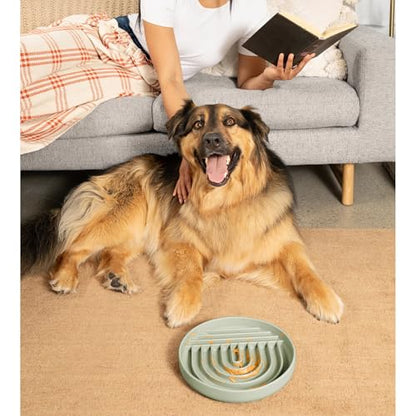 Should We Go? Slow Feeder for Dogs & Puppies, The Slowdown Bowl Silicone Slow Eating, Modern Lick Mat Design, Reduces Gulping, Fits 2.5 Cups, 9.5” Across x 1.5” Tall, Mealtime Challenge, Large-Sage - color: Sage - Rainbow Design, size: Large (9.5” Across