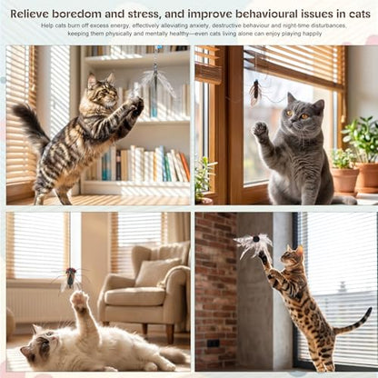 Cat Toys Wand Cat Fishing Pole Toy Cats Teaser Toys with 4 Realistic Hanging Refills