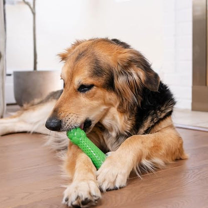 Dental Asparagus Treat-Stuffer Dog Toy – Multi-Textured, Mint Scent, Small & Medium Breeds, 6.7"