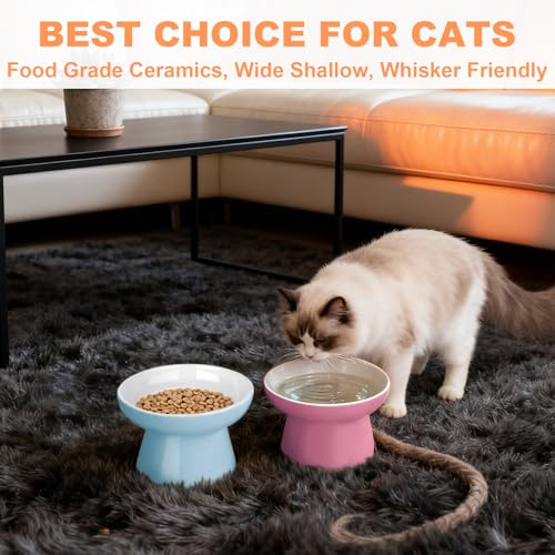 Elevated Cat Food Bowls 2 Pack,Ceramic Raised Cat Bowls with Non-Slip Base,Whisker Friendly Shallow Design for Dry & Wet Food,Anti-Vomiting Cat Feeder,Dishwasher & Microwave Safe (Pink&Blue) - color: Pink&Blue