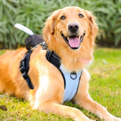 5-in-1 Reflective Dog Harness with Built-in 5ft Leash & Seatbelt Clip, Waste-Bag Pouch + 3 Rolls, Adjustable Quick-Fit Buckles, Breathable Mesh, Dual D-Rings, Medium - size: Medium