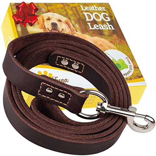 ADITYNA Leather Dog Leash 6 ft x 3/4 inch - Soft, Strong, Heavy Duty for Large & Medium Breeds - Dog Lead for Walking, Training, Hiking and Running (Brown) - color: Brown, size: L - 6 ft x 3/4 inch