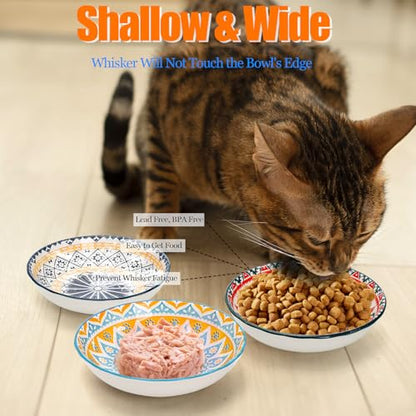 Foraineam 6 Pack 5.5 inch Wide Shallow Cat Food Bowl Set Ceramic Cat Bowls, 8oz Whisker Friendly Cat Dishes, Colorful Kitten Feeding Bowls for Food and Water, Microwave and Dishwasher Safe