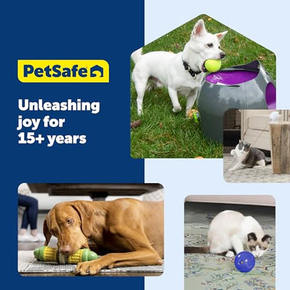 PetSafe Busy Buddy Jack - Treat Holding Dog Chew Toys - Helps Clean Teeth - Vanilla Scented Rubber for Strong Chewers - Treat Refills Included, Interactive Dog Toy Helps Keep Dogs Busy, Purple, Medium - size: Medium, style: Treat Holding Jack