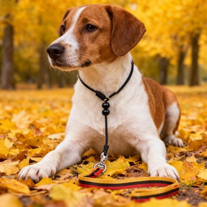 4 FT Heavy Duty Dog Leash with 2 Padded Handles (Traffic Handle & Easy Snap Hook), Reflective Walking Lead for Large, Medium & Small Dogs (1" Wide, Black)