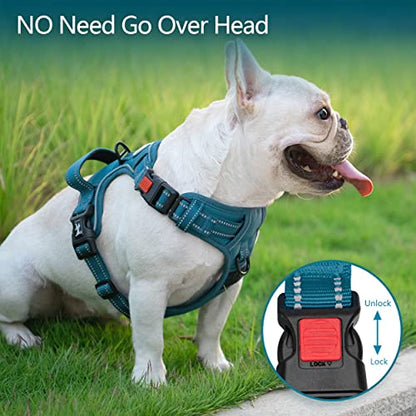 PoyPet No Pull Dog Harness, No Choke Reflective Dog Vest, Adjustable Pet Harnesses with Easy Control Padded Handle for Small Medium Large Dogs(Tumalo Teal,XS) - color: Tumalo Teal, size: XS