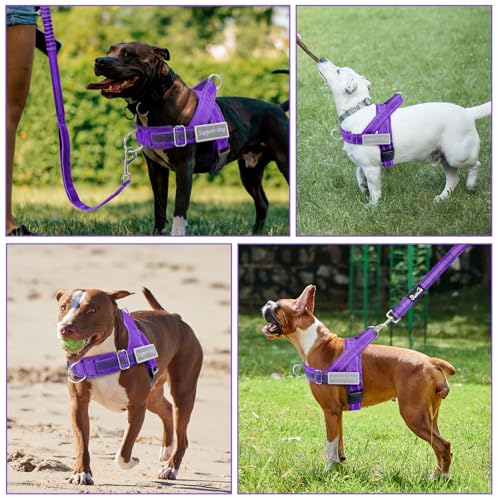 Lukovee No Pull Dog Harness and Leash Set - Heavy Duty Dog Vest with Soft Velvet Padding for Medium Large Dogs, Adjustable Reflective Tactical Harness with 2 Control Handles & Front Clip (M, PU) - color: Purple, size: Medium