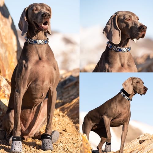 Luxury K9 Crystal Dog Collar -Waterproof Wear-Resistant Microfiber Leather with Hand-Set Rhinestone Gems, Durable Metal Buckle, Adjustable Bling Collar for Small Medium Large Dogs (Blue Leopard, L) - color: Blue Leopard, size: L(FIT,NECK:14.5"-18")