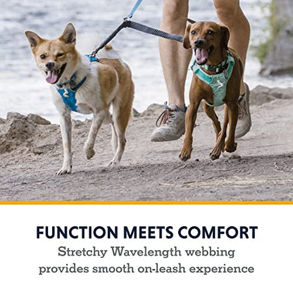 Ruffwear, Double Track Coupler, Double Leash for Two Dogs, Premium Heavy Duty Dual Splitter with 360° Lockable Swivel No Tangle, Shock-Absorbing Stretch Webbing for Walking & Hiking, Basalt Gray