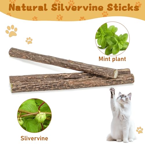 WoLover Silvervine Sticks for Cats, Natural Catnip Matatabi Chew Sticks Teeth Molar Chew Toys for Cat Kitten Kitty (at Least 12 PCS) - size: 12 Count