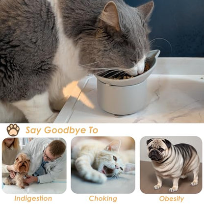 Elevated Cat Bowl, Silicone Kitten Bowls for Food and Water, Wide Shallow Cat Food Dish, Whisker Fatigue, Lead & Cadmium Free, Great Height for Small Pet (LightGrey) - color: LightGrey